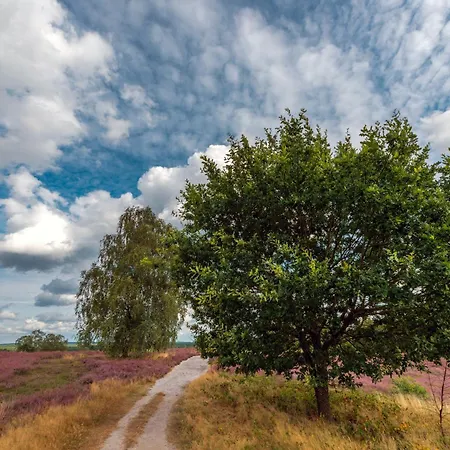 Lägenhet Wohnambiente Am